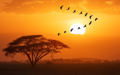 Team Work – What Does it Mean to You