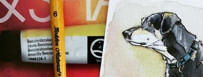 Watercolour Pet Portraits with Ashley Gaboury