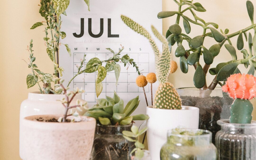 July 2025 Calendar