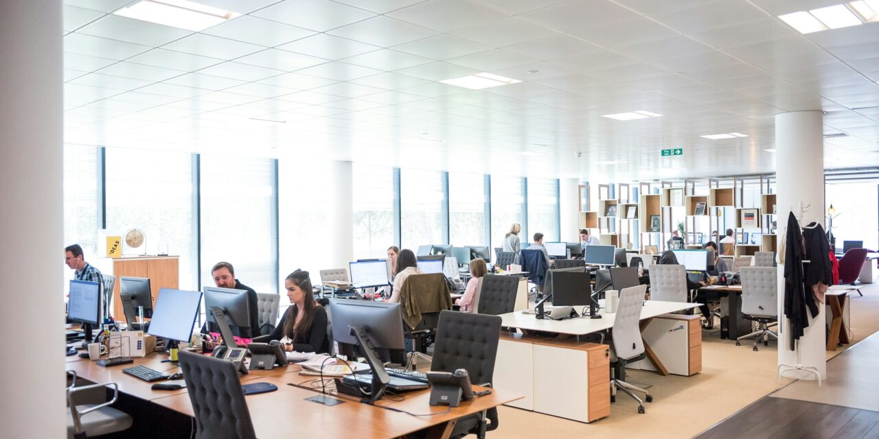 Adapting to Your Work Culture