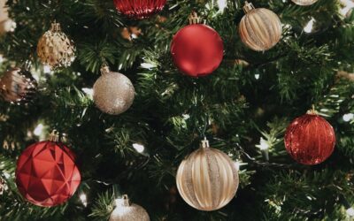 December 2025 Calendar