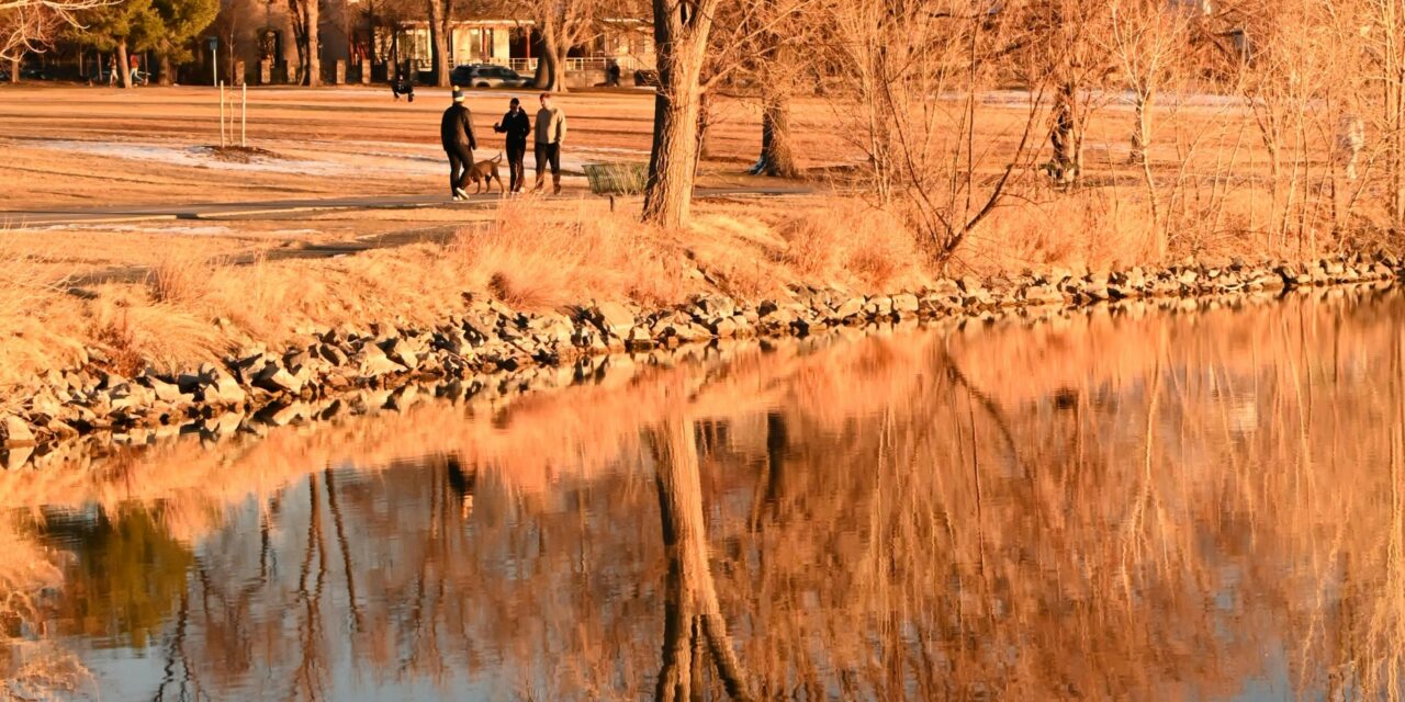 Some Local Activities that Might Help You Destress