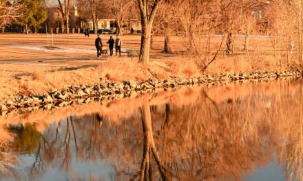 Some Local Activities that Might Help You Destress